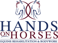 Hands on Horses: Equine Rehabilitation and Bodywork