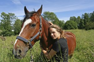 Equine Services- Massage Therapists, Bodywork, Myofascial Release, Rehabilitation- Maryland