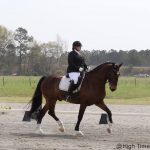 Aleander- Horse Massages and Equine Rehabilitation in Maryland