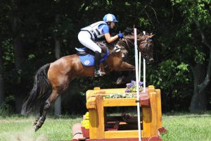 Equine Rehabilitation and Horse Massages in Maryland