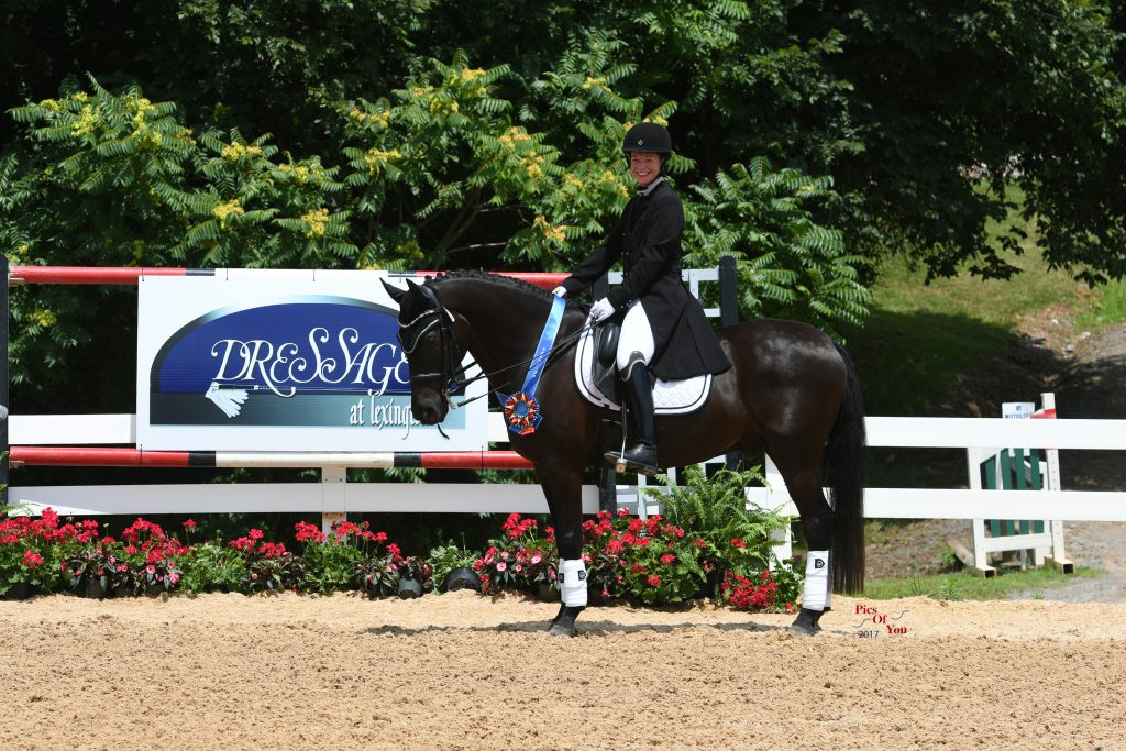 Riding- Equine Rehabilitation and Horse Bodywork in Maryland