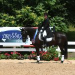 Riding- Equine Rehabilitation and Horse Bodywork in Maryland