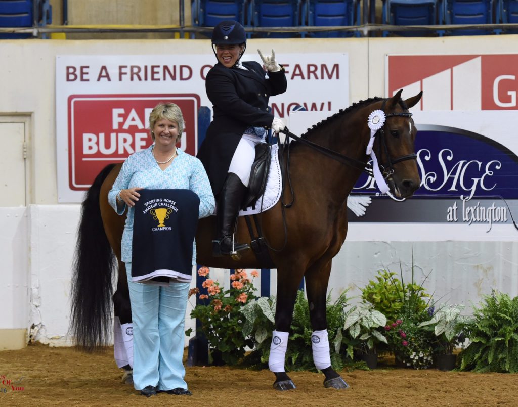 Riding- Equine Rehabilitation and Horse Massage Therapist in Maryland