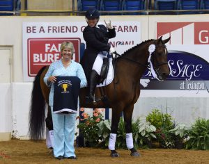 Riding- Equine Rehabilitation and Horse Massage Therapist in Maryland