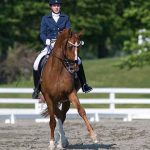 MartinTucker- Equine Rehabilitation and Horse Bodywork in Maryland