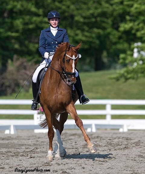 MartinTucker- Equine Rehabilitation and Horse Bodywork in Maryland