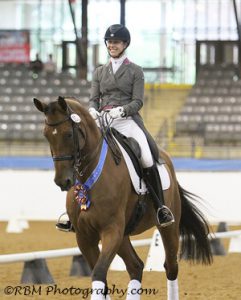 Tate- Equine Rehabilitation and Horse Bodywork in Maryland
