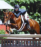 Equine Rehabilitation and Horse Massages in Maryland